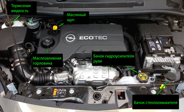 tehnicheskie-zhidkosti-dlja-avtomobilja